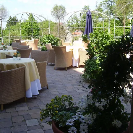 Wolf - Wir Freuen Uns